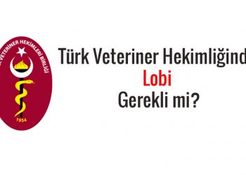 Türk Veteriner Hekimliğinde Lobi Gerekli Mi?