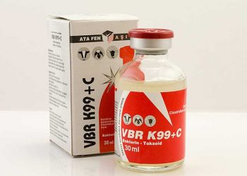 VBR K99+C Aşısı