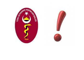 Veteriner Hekimliği Yüksek Öğretimi Üstüne Kimi Değerlendirmeler