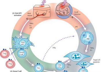 Yamaya Karşı Konak Tepkimesi Nedir?
