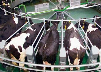 Sürü Sahibinin Kontrol Paneli