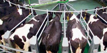 Sürü Sahibinin Kontrol Paneli