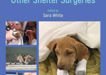 Yüksek Kaliteli, Yüksek Hacimli Kısırlaştırmak veya Kısırlaştırılmış Hayvan ve Diğer Barınak Ameliyatları