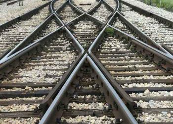 Türk Veteriner Hekimliği Nereye Gidiyor?