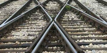 Türk Veteriner Hekimliği Nereye Gidiyor?