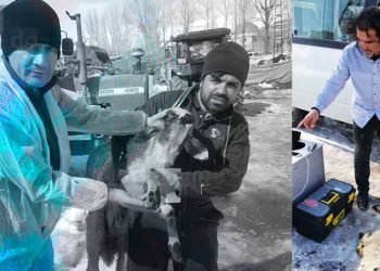 Van Bölgesi Veteriner Hekimleri Odası Veteriner Hekimleri Deprem Bölgesinde