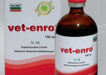 Vet-Enro