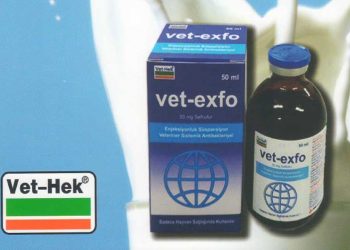 Vet-Exfo