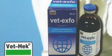 Vet-Exfo
