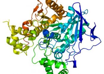 Yalancı Kolinesteraz Nedir?