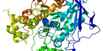 Yalancı Kolinesteraz Nedir?