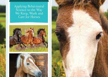 Atlarda Davranış Akıldadır