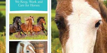 Atlarda Davranış Akıldadır