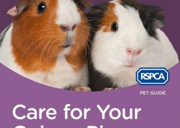 RSPCA Evcil Hayvan Rehberi: Kobaylarınız İçin Bakım eKitap