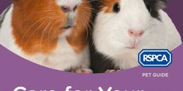 RSPCA Evcil Hayvan Rehberi: Kobaylarınız İçin Bakım eKitap