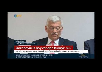 Corona virüs hayvandan insana geçer mi?