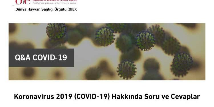 Coronavirus 2019 (COVID-19) Hakkında Soru ve Cevaplar