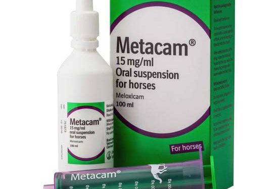 Metacam 15 mg/ml Atlar için Oral Süspansiyon