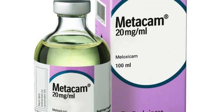 Metacam