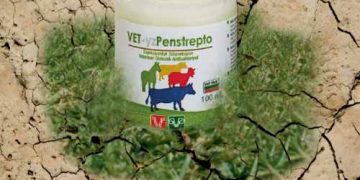 Vet-YzPenstrepto