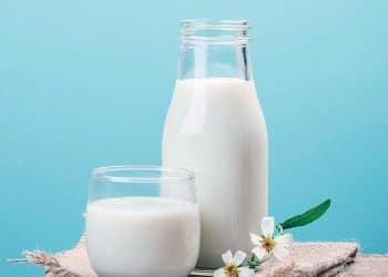 Yağsız Süt Nedir?