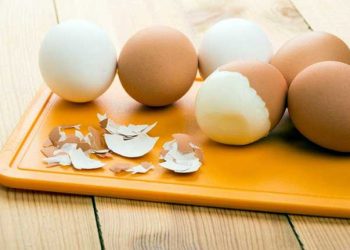 Belçika ve Hollanda 'da Fipro Skandalı Büyüyor