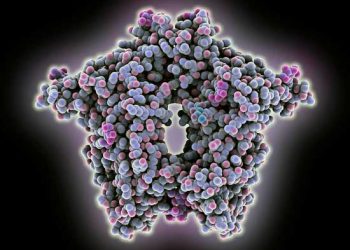 Çiftlik Hayvanlarında Koronavirus