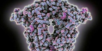 Çiftlik Hayvanlarında Koronavirus