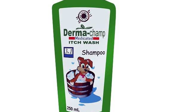 Derma-Champ Shampoo