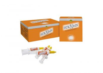 Fatroximin Kuru Dönem