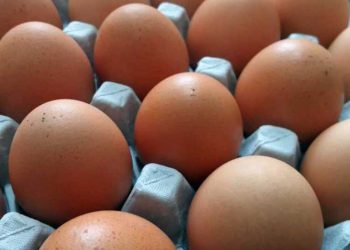 Fibronil Kontamine Yumurta Skandalı