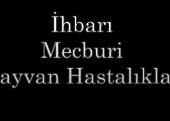 İhbarı Mecburi Hayvan Hastalıkları