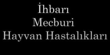İhbarı Mecburi Hayvan Hastalıkları