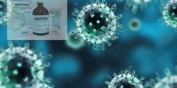 Mastitisin Önlenmesi için Mastivac Etkinlik Çalışması