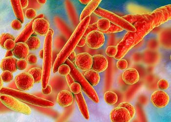 Mikoplazma Kılavuzu (Mycoplasma)