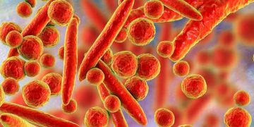 Mikoplazma Kılavuzu (Mycoplasma)