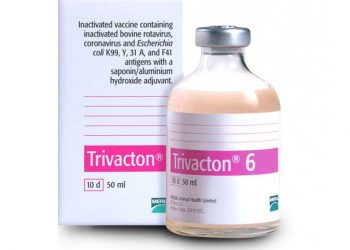 Trivacton 6