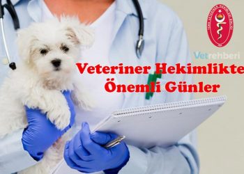 Veteriner Hekimlikte Önemli Günler