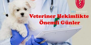 Veteriner Hekimlikte Önemli Günler