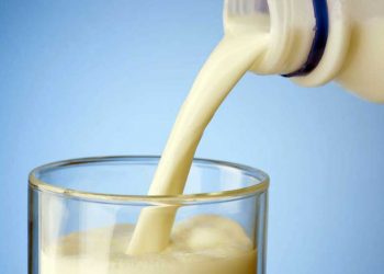 Yağa Göre Düzeltilmiş Süt Nedir?