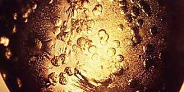 Yağların Kristalleştirilmesi Nedir?