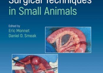 Küçük Hayvanlarda Gastrointestinal Cerrahi Teknikler