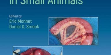 Küçük Hayvanlarda Gastrointestinal Cerrahi Teknikler