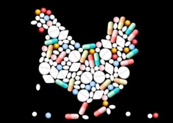 Antibiyotiklerin Azaltılması 'Bir Vaka Çalışması'