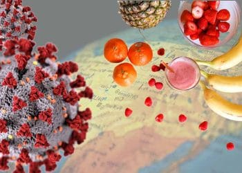 Covid-19 Salgını ve Bağışıklık Sistemi