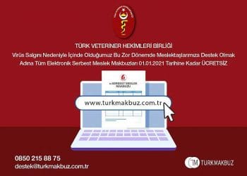 Elektronik Serbest Meslek Makbuzu (e-SMM) uygulaması