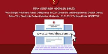Elektronik Serbest Meslek Makbuzu (e-SMM) uygulaması