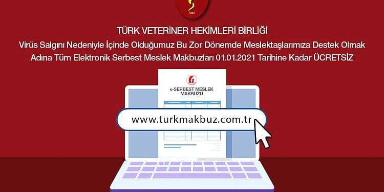 Elektronik Serbest Meslek Makbuzu (e-SMM) uygulaması