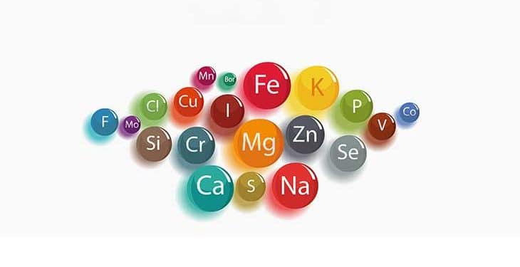 Mineral ve İz mineraller