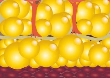 Yağ Depolama Nedir?